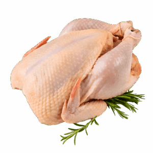 Frozen Foods
