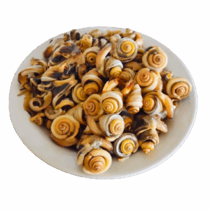 Snails